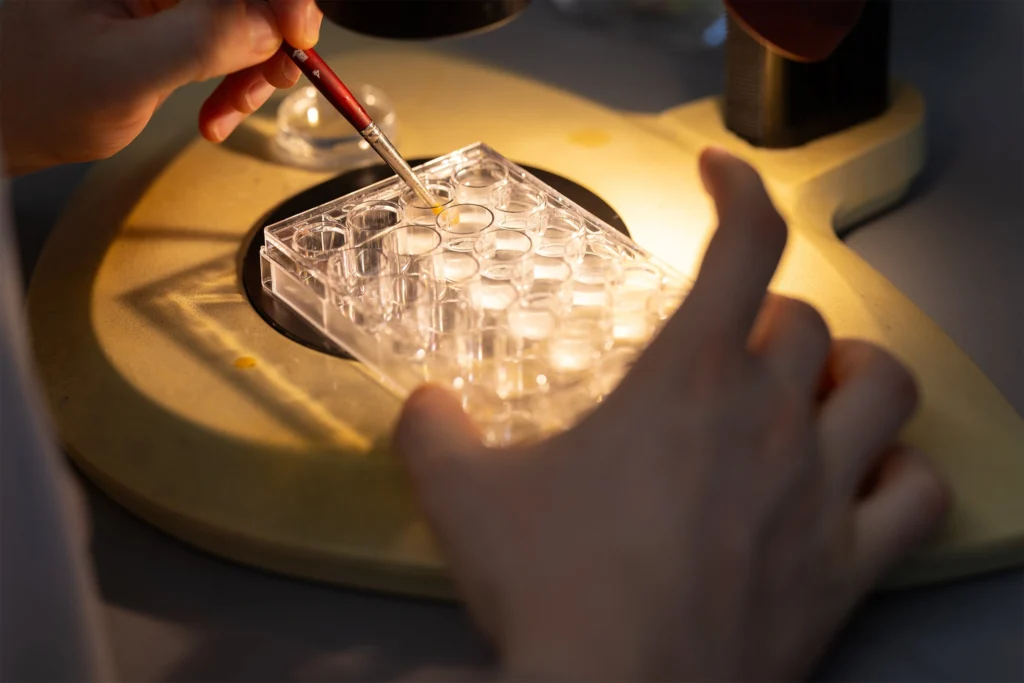 Yale News Spotlights the Colton Center as a Key Driver of Autoimmune Innovation at Yale Ventures