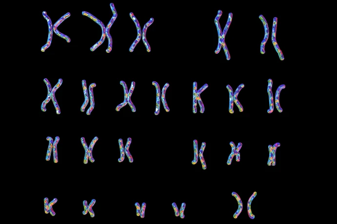 What a "Silenced" Chromosome Can Tell Us About Autoimmunity